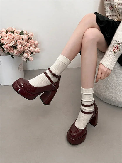 Mary Jane Pumps for Women Girls Fashion Wine Red New Chunky Heel Wedding Dress Shoes Spring New Pumps Classic Double Buckle Shoe