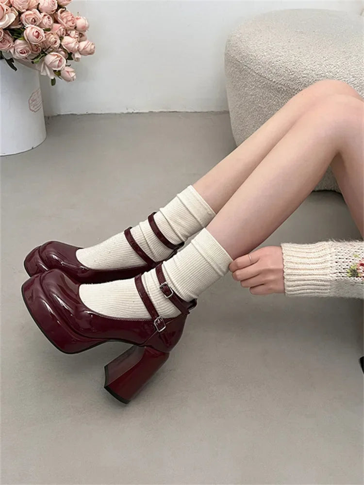 Mary Jane Pumps for Women Girls Fashion Wine Red New Chunky Heel Wedding Dress Shoes Spring New Pumps Classic Double Buckle Shoe