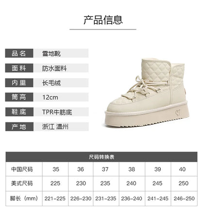 Cold-proof and Warm Winter Ladies Shoes 2024 New Lace Up Design Women's Platform Boots Waterproof Anti-slip Fashion Short Boots