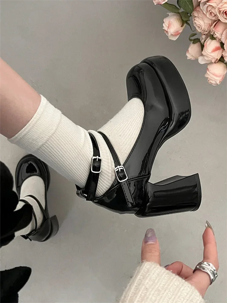 Mary Jane Pumps for Women Girls Fashion Wine Red New Chunky Heel Wedding Dress Shoes Spring New Pumps Classic Double Buckle Shoe