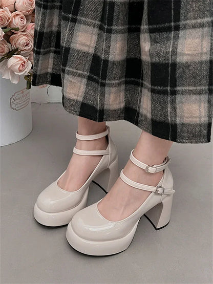 Mary Jane Pumps for Women Girls Fashion Wine Red New Chunky Heel Wedding Dress Shoes Spring New Pumps Classic Double Buckle Shoe