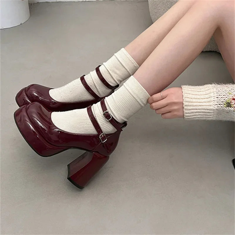 Mary Jane Pumps for Women Girls Fashion Wine Red New Chunky Heel Wedding Dress Shoes Spring New Pumps Classic Double Buckle Shoe