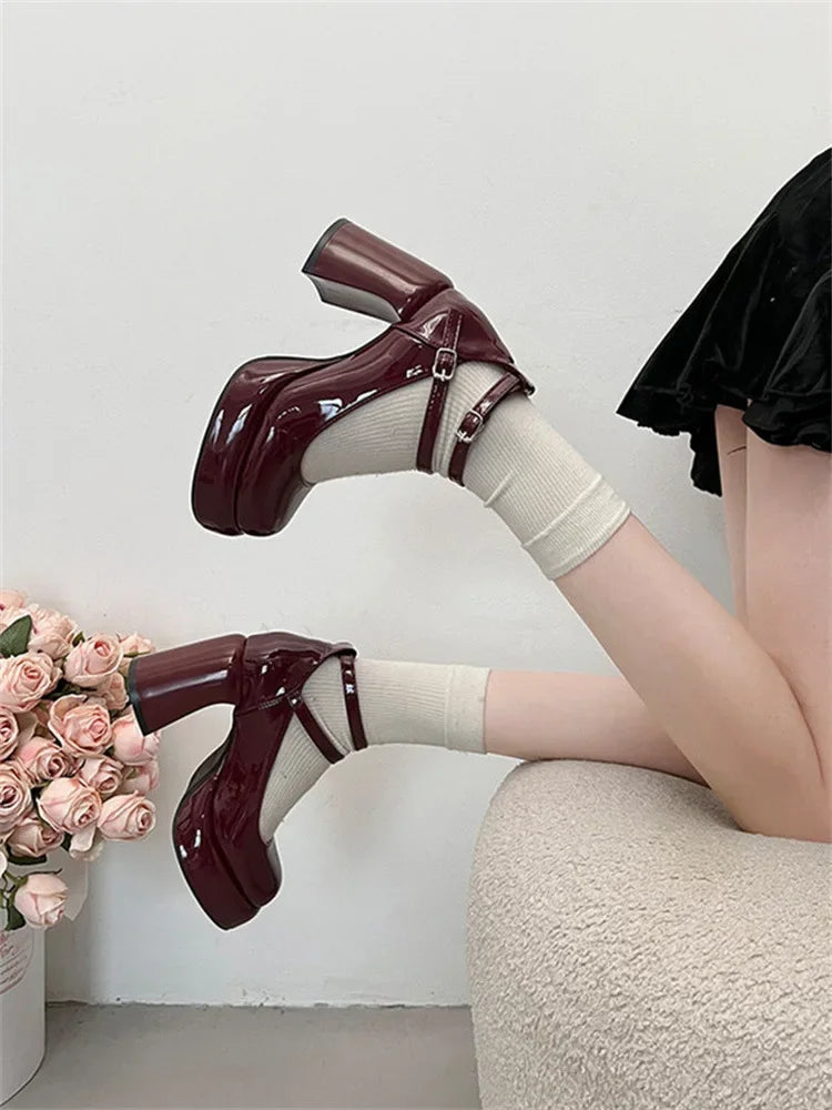 Mary Jane Pumps for Women Girls Fashion Wine Red New Chunky Heel Wedding Dress Shoes Spring New Pumps Classic Double Buckle Shoe