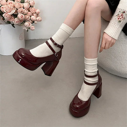 Mary Jane Pumps for Women Girls Fashion Wine Red New Chunky Heel Wedding Dress Shoes Spring New Pumps Classic Double Buckle Shoe