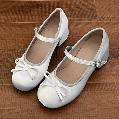 2024 Spring Autumn Mary Jane Shoes Fashion Shallow Round Toe Mid Heel Shoes Ladies Elegant Outdoor Single Pumps Shoes